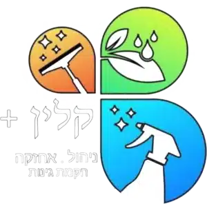 קלין+